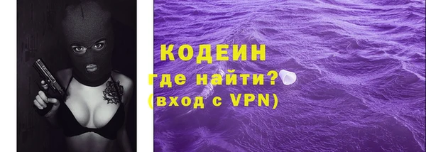 прущие грибы Балахна
