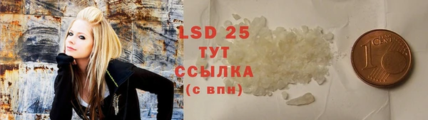 прущие грибы Балахна