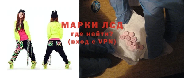 прущие грибы Балахна