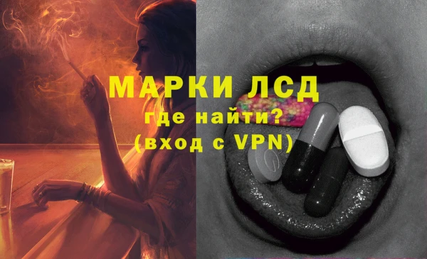прущие грибы Балахна