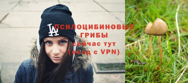 прущие грибы Балахна