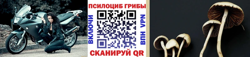 Псилоцибиновые грибы MAGIC MUSHROOMS Бугульма